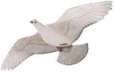 a dove