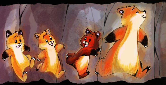 illustration from book